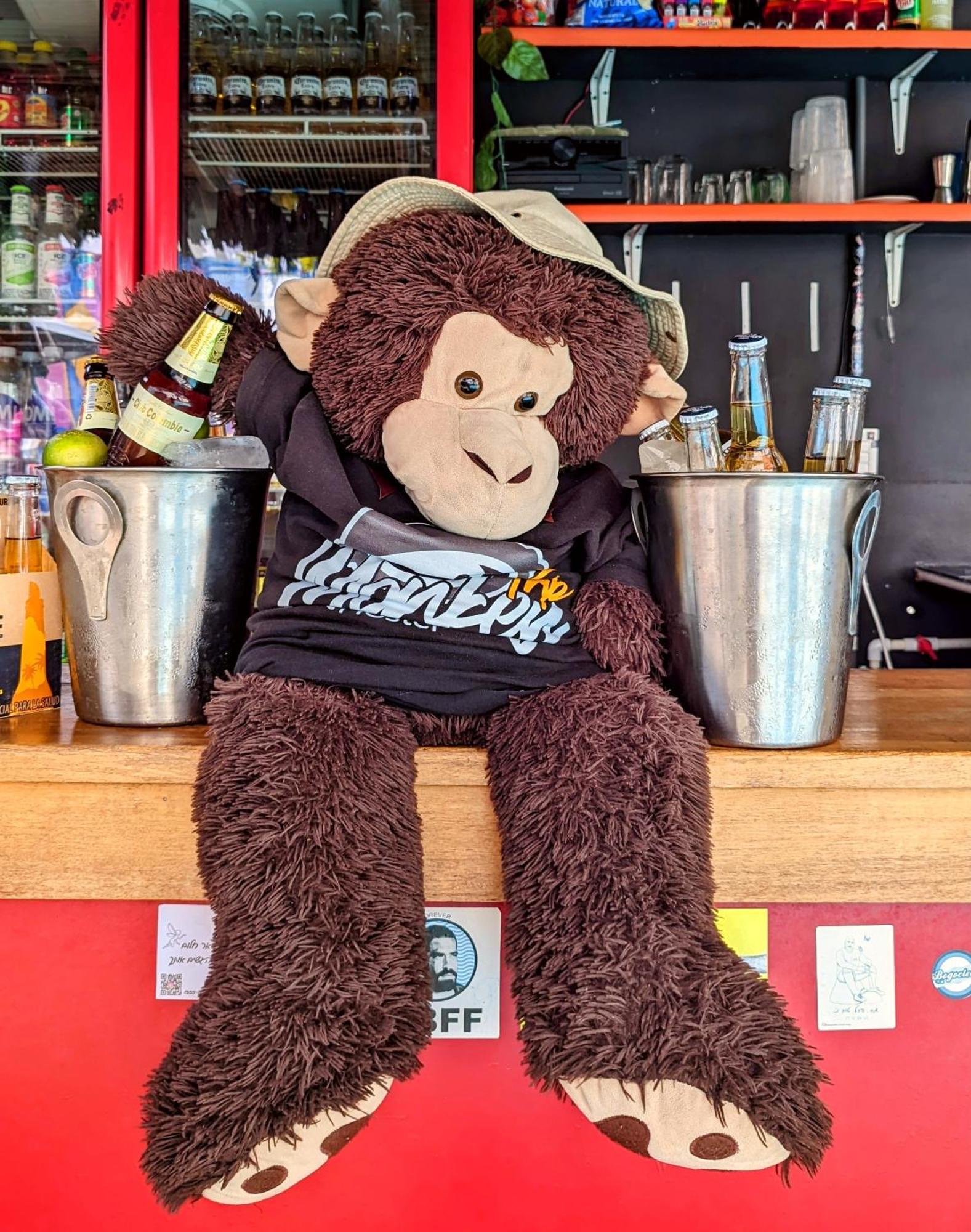 Hostel Trip Monkey San Gil Extérieur photo